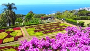 Madère, Jardin botanique de Funchal sur les hauts de la ville, un parc abritant plus de dix mille espèces de plantes et d'arbres