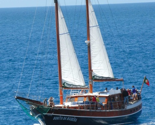 Activité nautique dans le bateau Bonita da Madeira à Madère