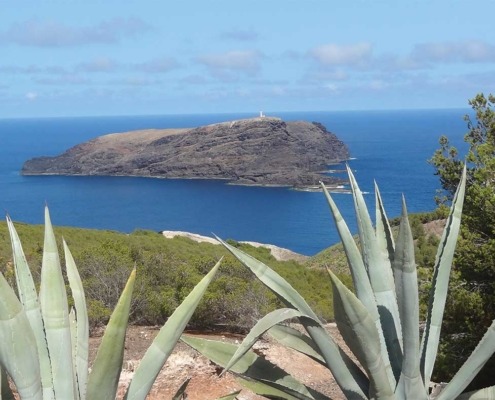 Photo d'un paysage faisant partie d'une randonnée en pleine nature à Porto Santo