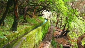 Randonnée dans la Levada dos Maroços sur l'île de Madère