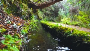 Randonnée dans la Levada Caldeirão Verde sur l'île de Madère